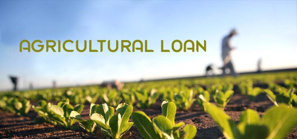 Agricultural Loans Empowering Growth and Harvest